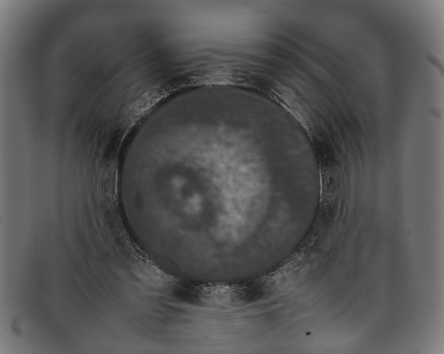 X0000097800301200804041320