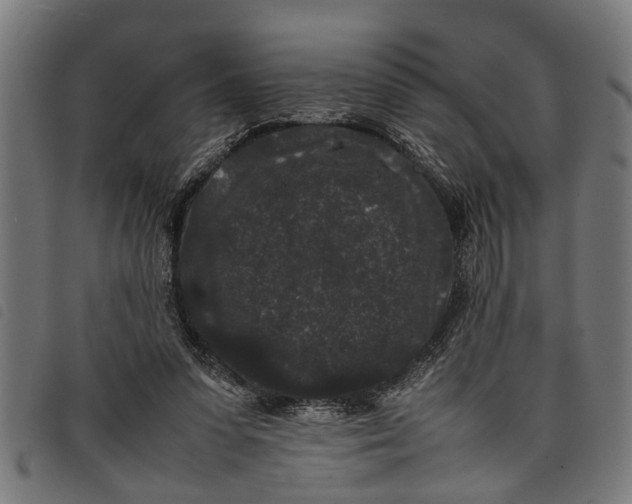 X0000097800303200804041320