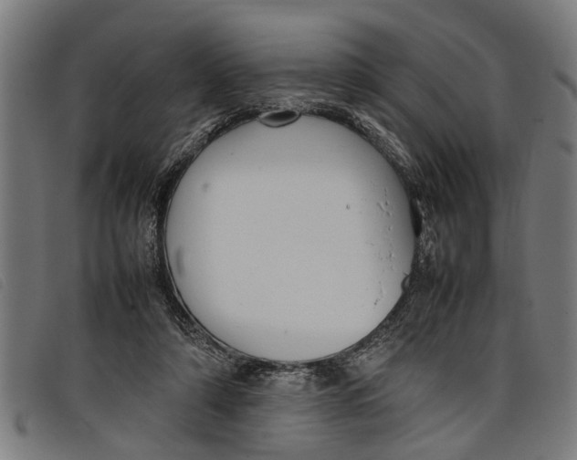 X0000097800306200804041320