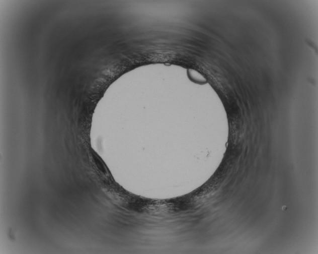 X0000097800307200804041320