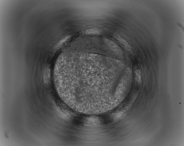 X0000097800308200804041320