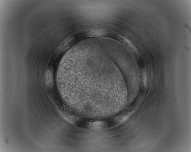 X0000097800312200804041320