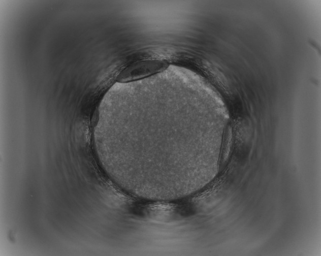 X0000097800313200804041320