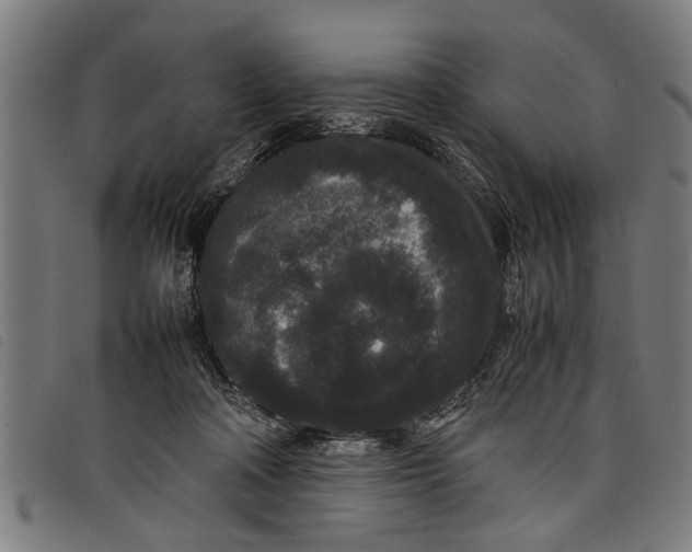 X0000097800314200804041320