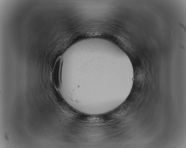 X0000097800315200804041320