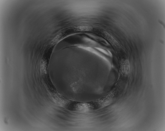 X0000097800316200804041320