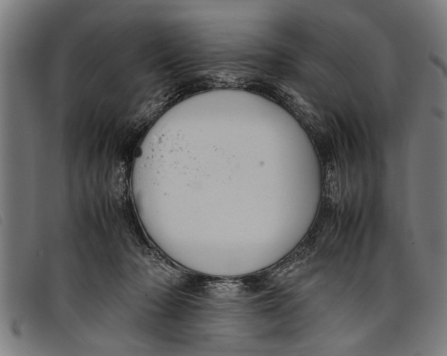 X0000097800318200804041320