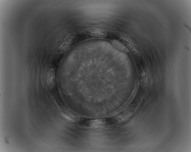 X0000097800320200804041320