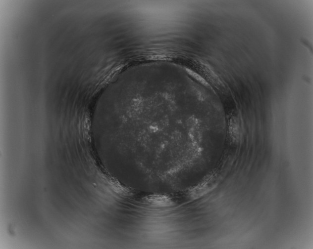 X0000097800322200804041320