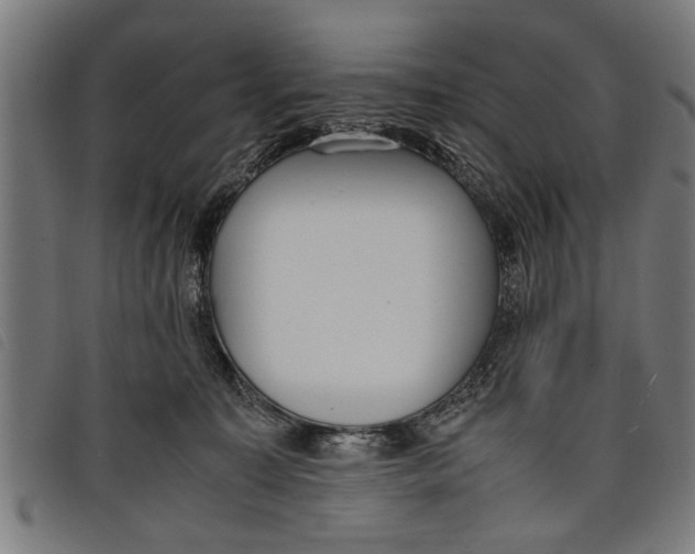 X0000097800323200804041320