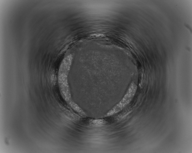 X0000097800324200804041320