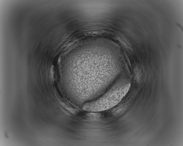 X0000097800328200804041320