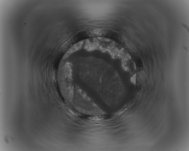 X0000097800331200804041320