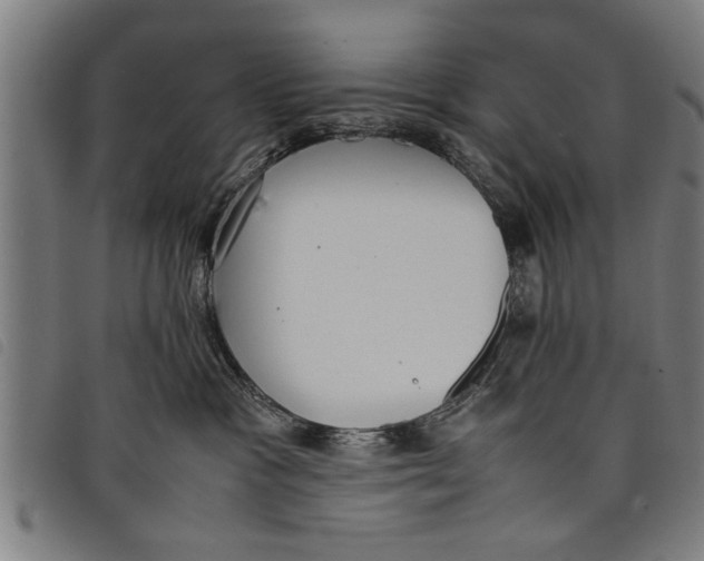 X0000097800333200804041320