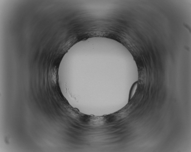 X0000097800334200804041320