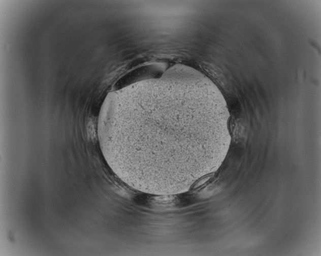 X0000097800335200804041320