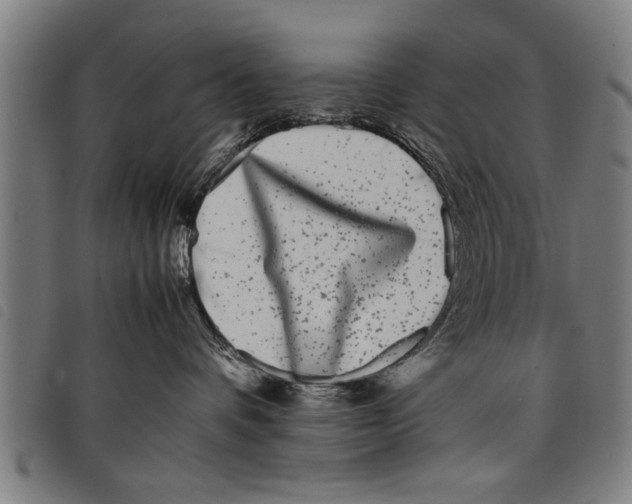 X0000097800336200804041320