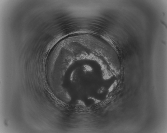 X0000097800337200804041319