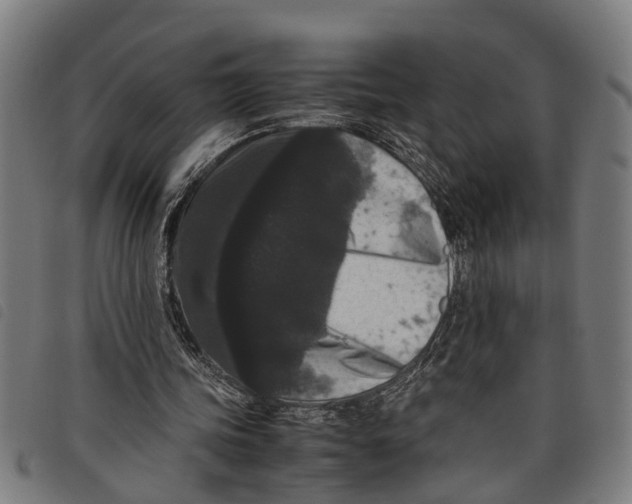 X0000097800339200804041319