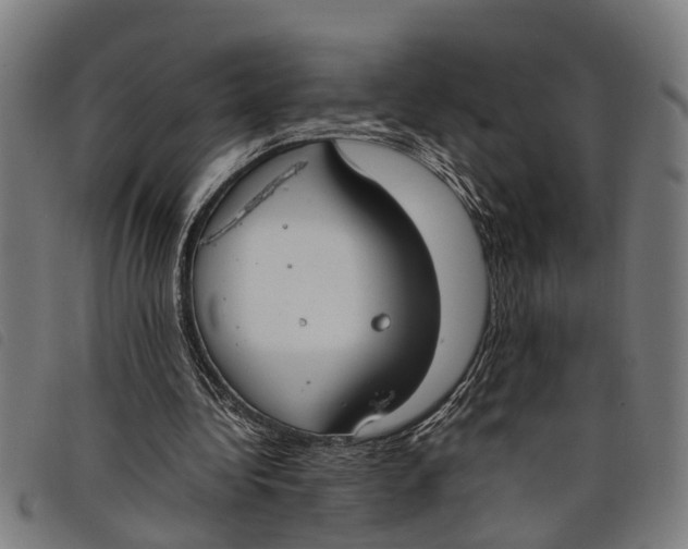 X0000097800340200804041319