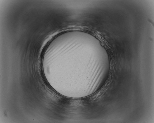 X0000097800342200804041319