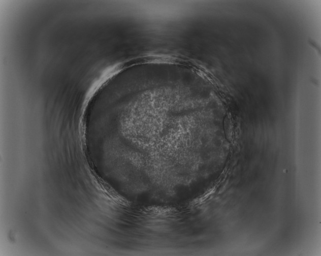 X0000097800343200804041319