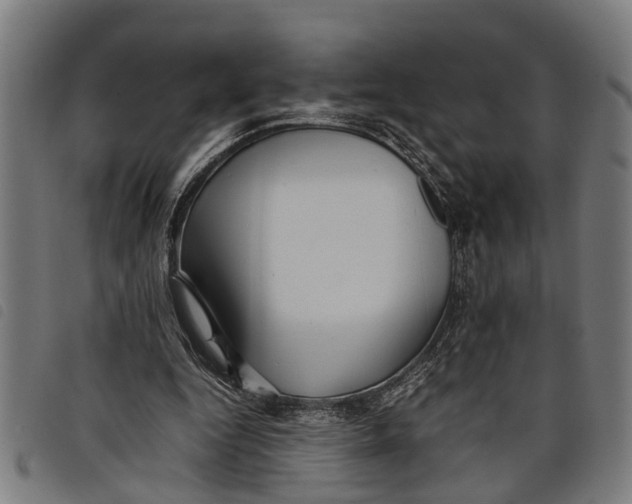 X0000097800344200804041319