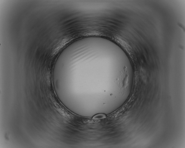 X0000097800345200804041319