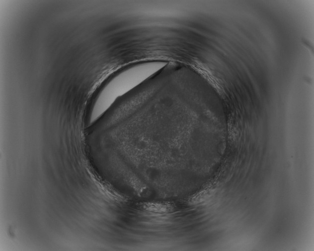 X0000097800347200804041319