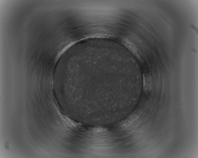 X0000097800348200804041319