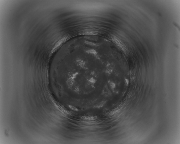 X0000097800349200804041319