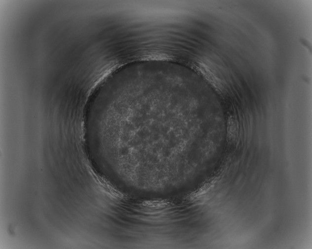 X0000097800351200804041319