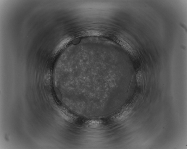 X0000097800352200804041319