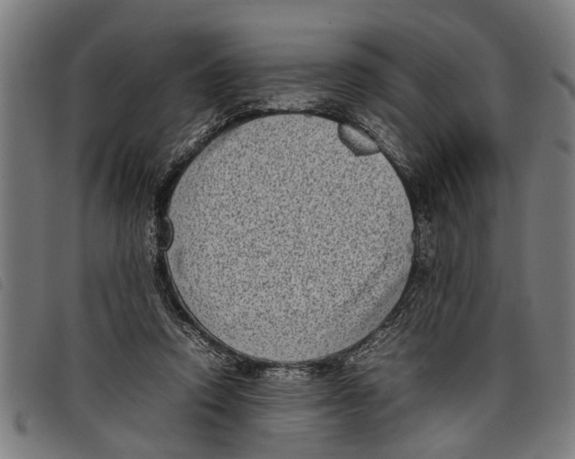 X0000097800354200804041319