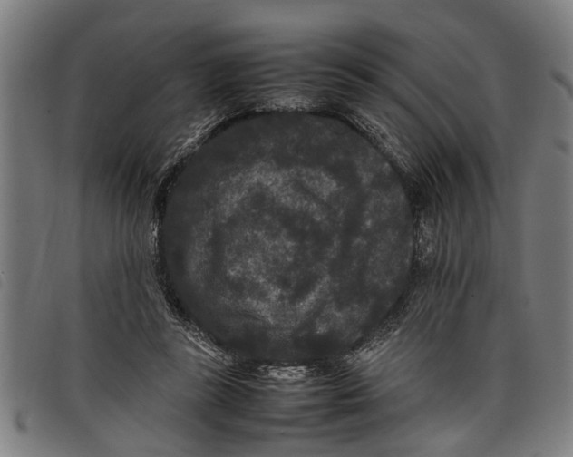 X0000097800355200804041319