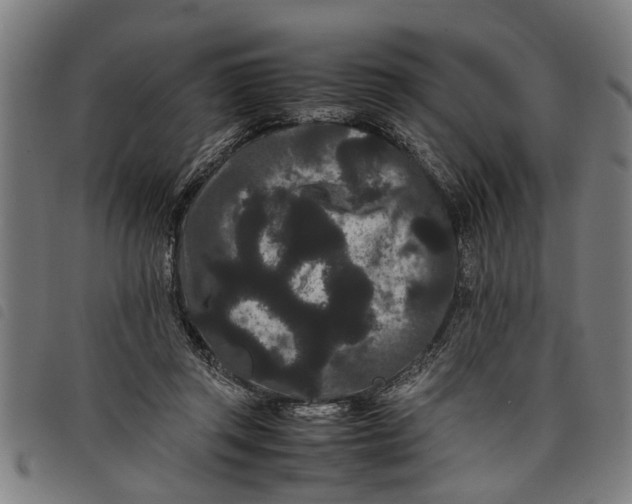 X0000097800357200804041319