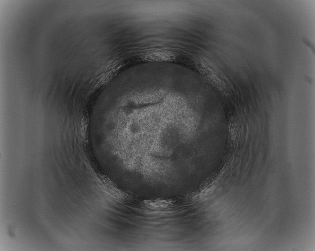 X0000097800359200804041319