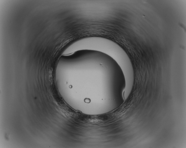 X0000097800360200804041319