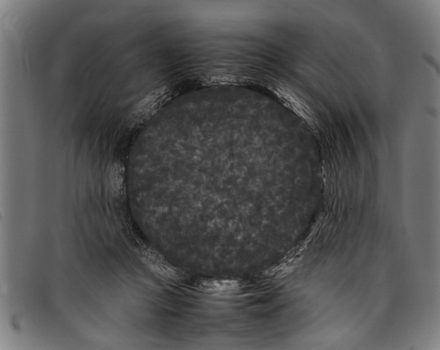 X0000097800361200804041319