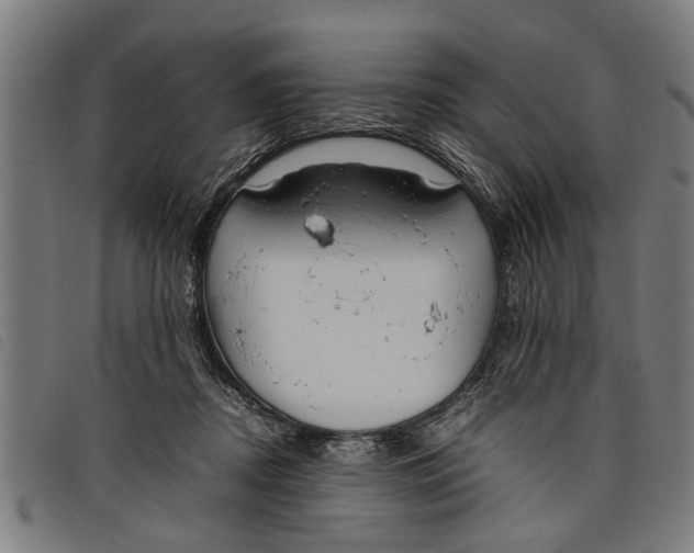 X0000097800362200804041319