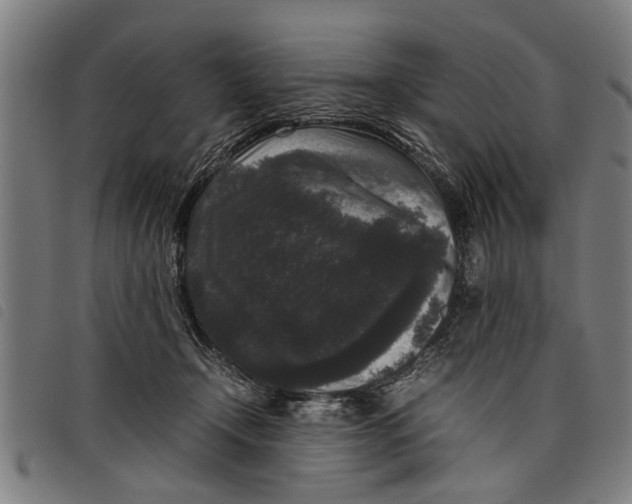 X0000097800366200804041319