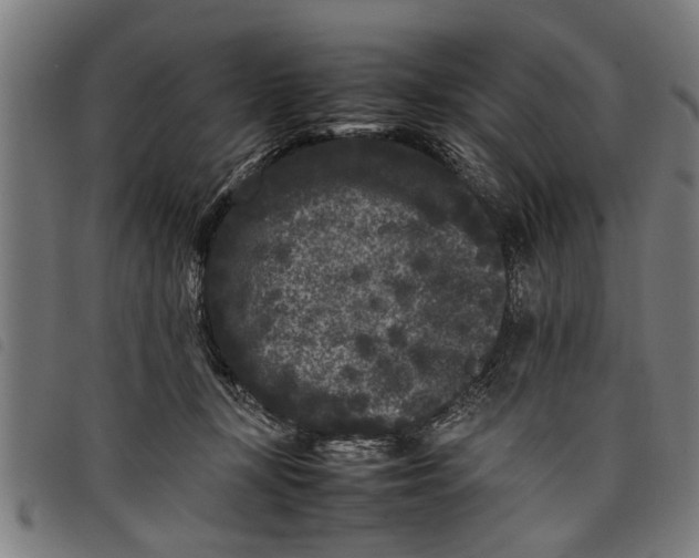 X0000097800367200804041319