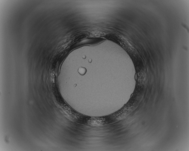 X0000097800368200804041319