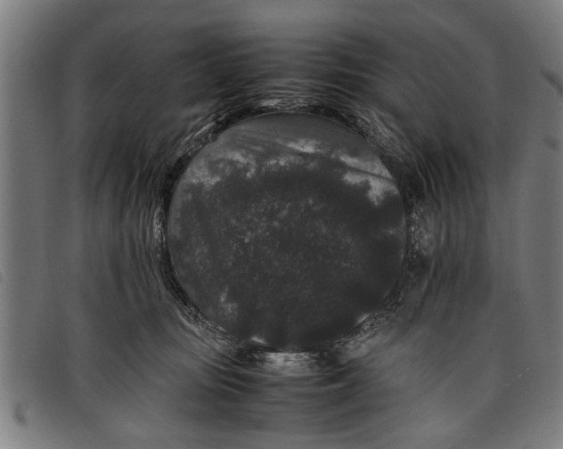 X0000097800371200804041319