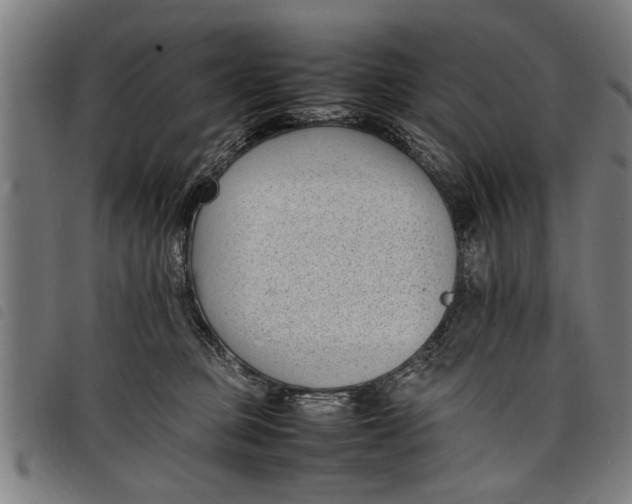 X0000097800373200804041319