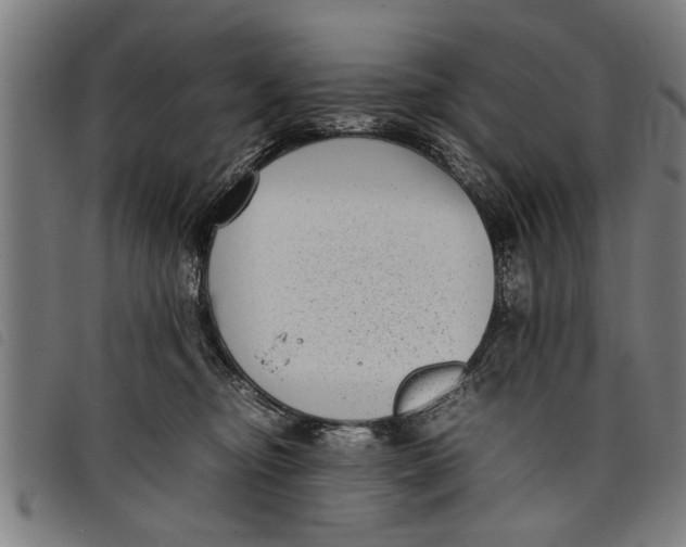 X0000097800374200804041319