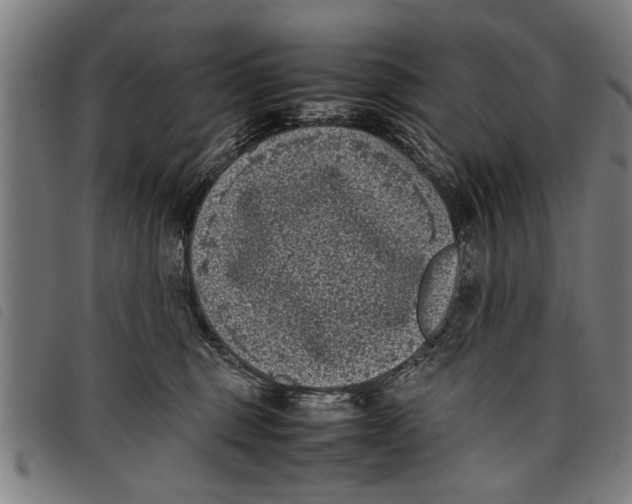 X0000097800375200804041319