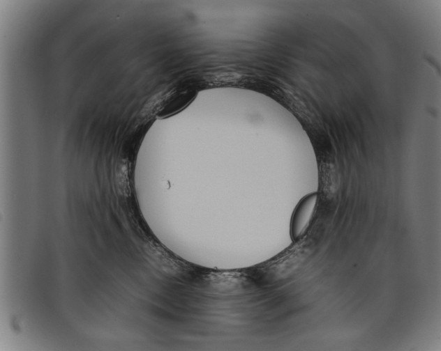 X0000097800378200804041319