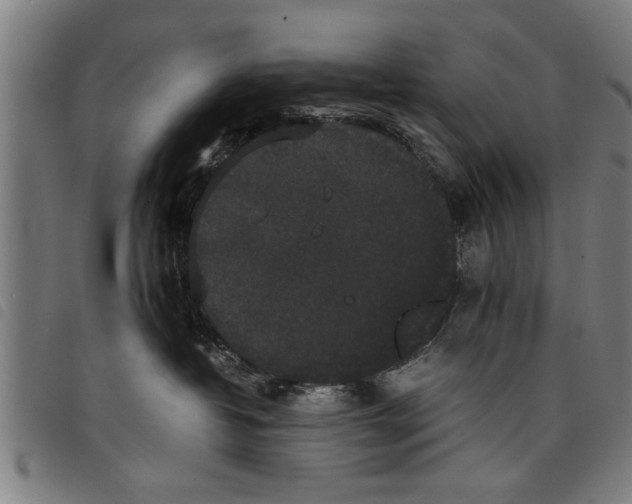 X0000097800382200804041320