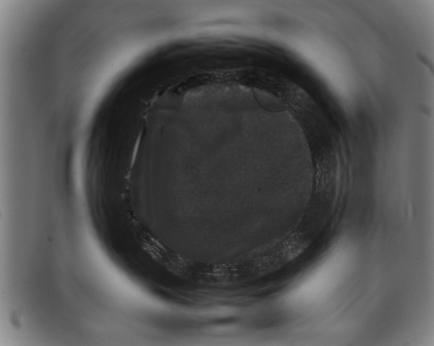 X0000097800383200804041320